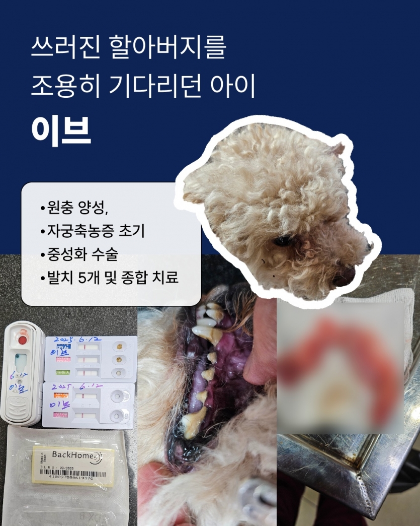329a52630e0c8b08af7b5b312edad9d6_1750121386_9232.png