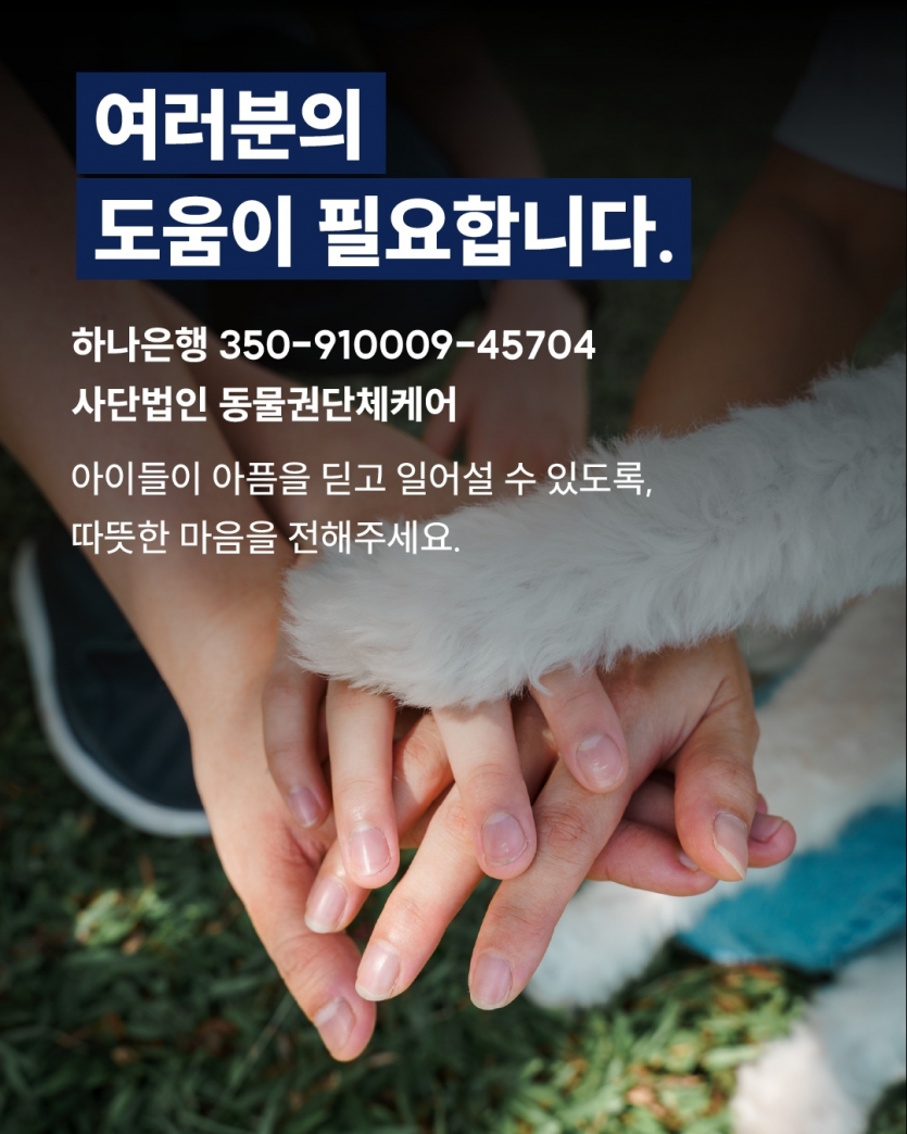 329a52630e0c8b08af7b5b312edad9d6_1750121396_517.png