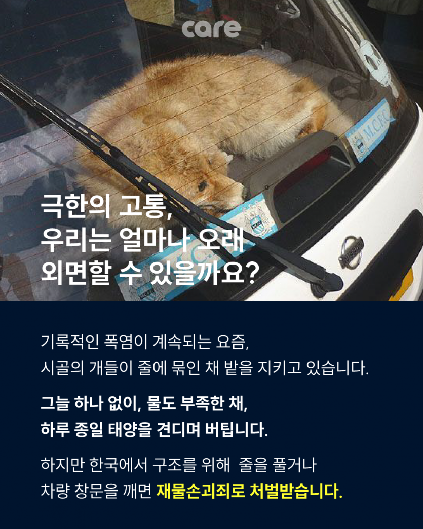 d7e444ffa55fc0ec3cf3ccab7c1cb874_1753091478_3447.png