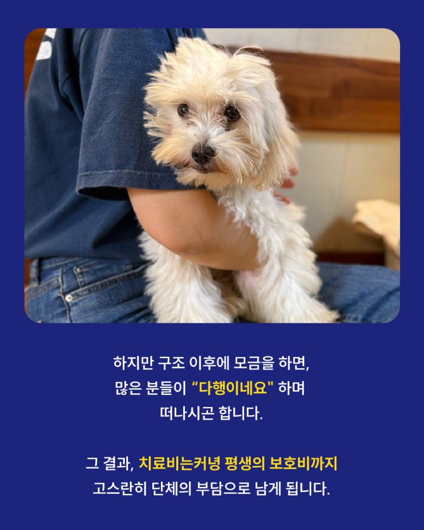 3e5889a92de087fff1237da269e5cf99_1760482578_5796.png