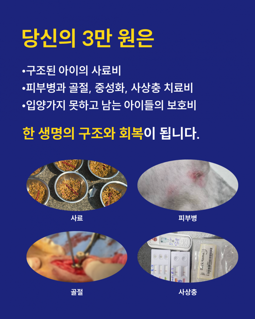 3e5889a92de087fff1237da269e5cf99_1760482583_7804.png