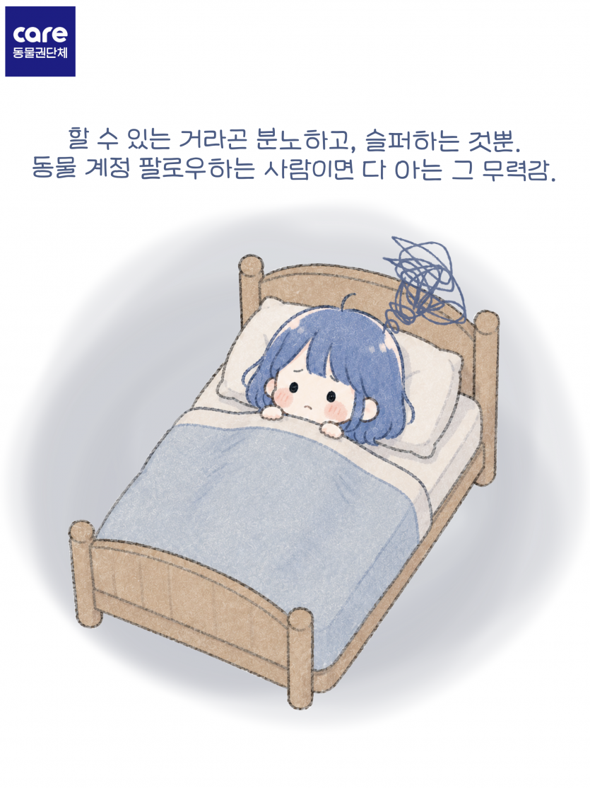 5b42a59a19cedd945048d14b8a459d31_1782569937_7516.png