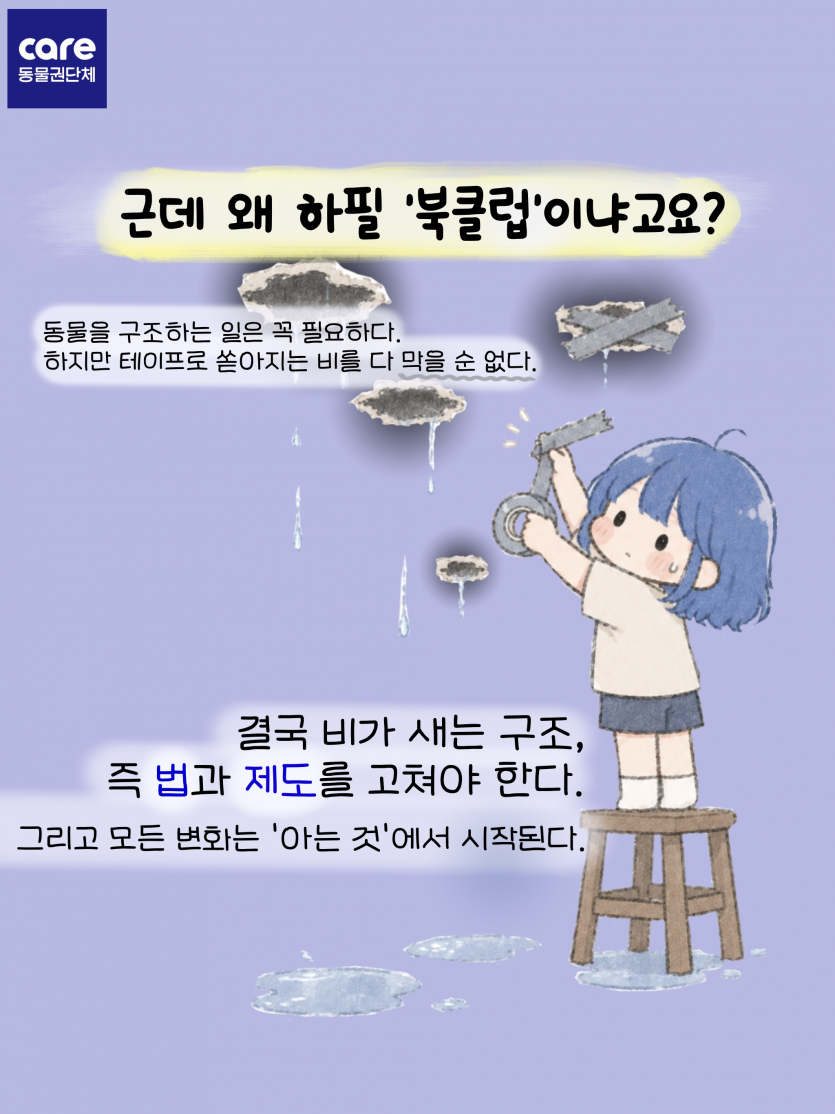 5b42a59a19cedd945048d14b8a459d31_1782569947_3587.png